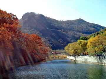 澳门天天免费精准大全，水性环氧地坪